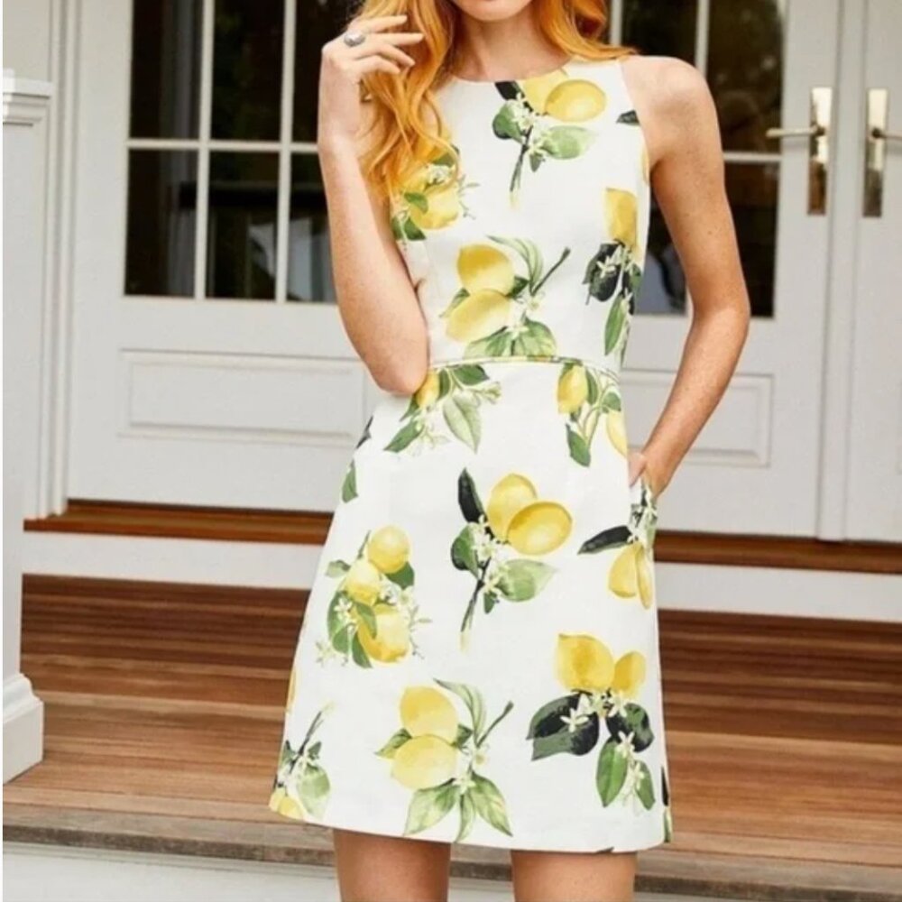 Adrianna Papell Lemon Print A-line Dress White Yellow Green Summer Womens size 4